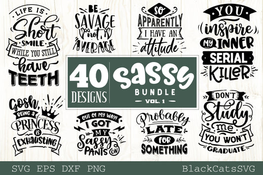 Sassy SVG bundle 40 designs SVG bundle vol 1