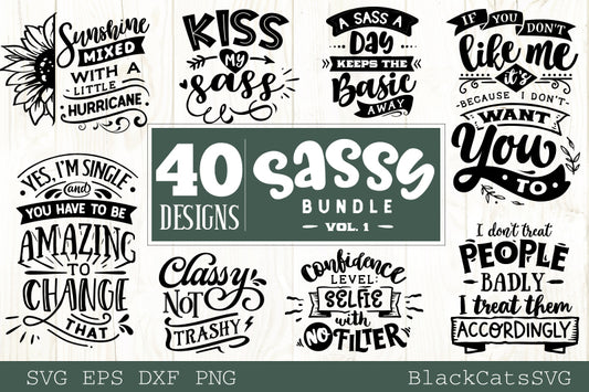 Sassy SVG bundle 40 designs SVG bundle vol 1