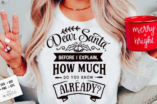 Dear Santa before I explain how much do you know already svg, Funny Christmas svg, Christmas funny svg, Merry Christmas svg,