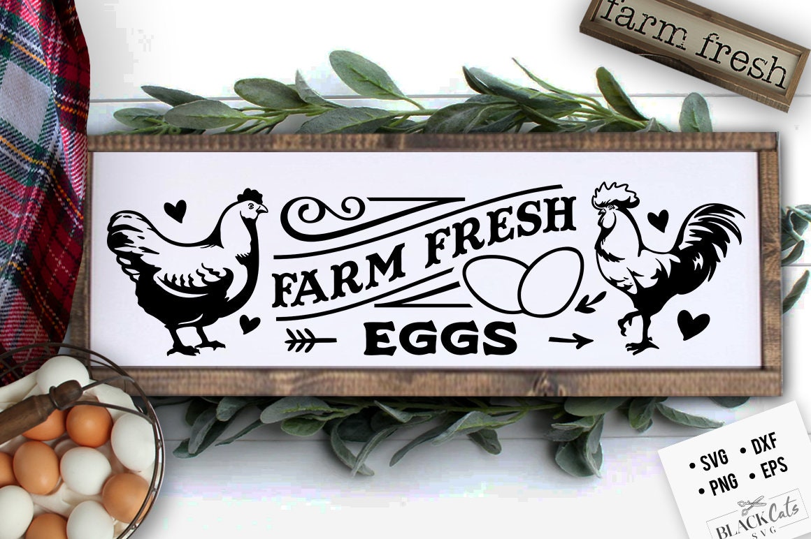 Farm fresh eggs svg, Eggs svg, Local egg dealer svg, Chicken svg, Funny chickens svg, coop svg, Farmhouse chicken svg, Sarcastic chicken svg