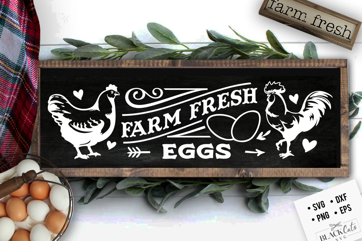 Farm fresh eggs svg, Eggs svg, Local egg dealer svg, Chicken svg, Funny chickens svg, coop svg, Farmhouse chicken svg, Sarcastic chicken svg